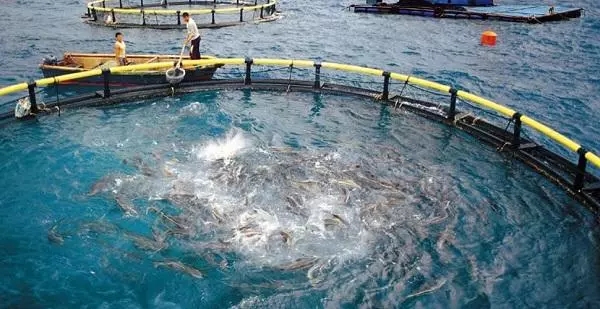 空氣源熱泵水產養殖 空氣源熱泵水產養殖